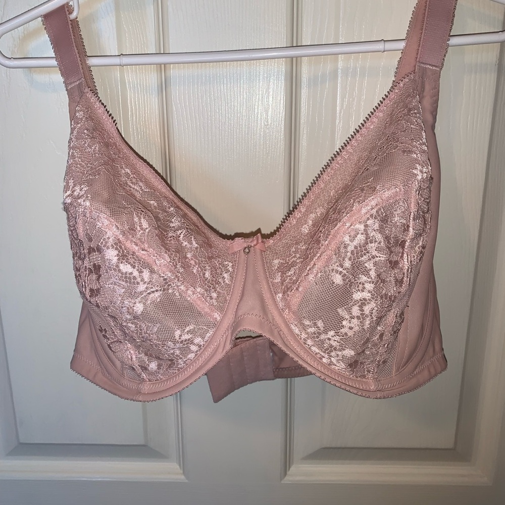 Panache Sculptresse 36GG (UK) Underwire Bra in Blush Pink